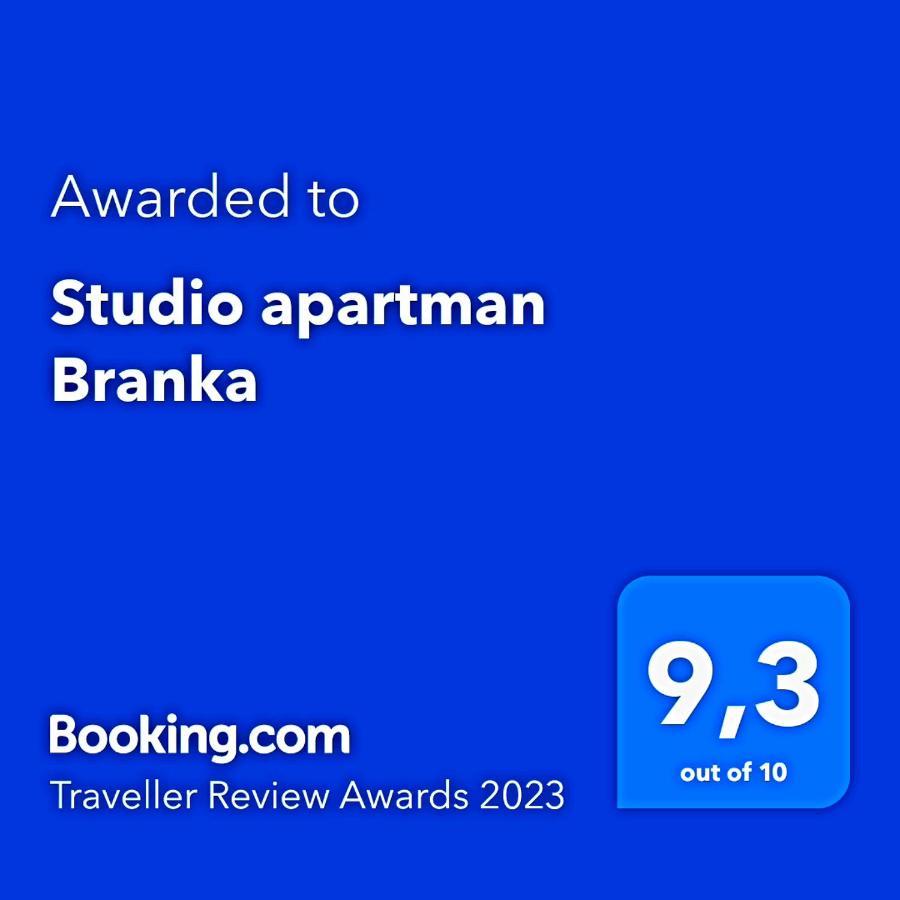 Studio Apartman Branka Labin  Ngoại thất bức ảnh